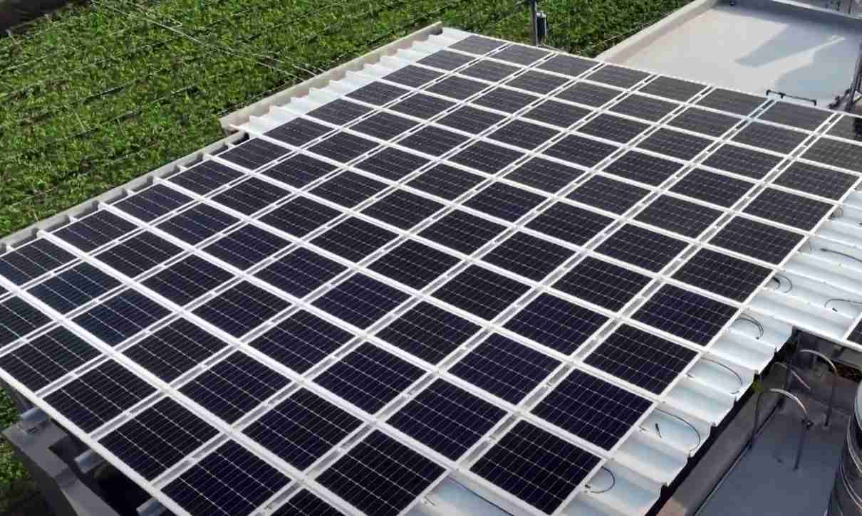 牛牛游戏SunSteel光电浪板升级双玻结构，，以提升机械负载强度及气候耐候度，，，可广泛运用于多元场域